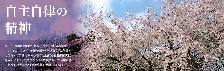 金沙0027JS的新网址